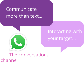 WhatsApp logo, interactive campaign